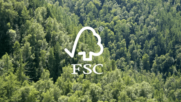 FSC®-Siegel: Was muss man wissen?